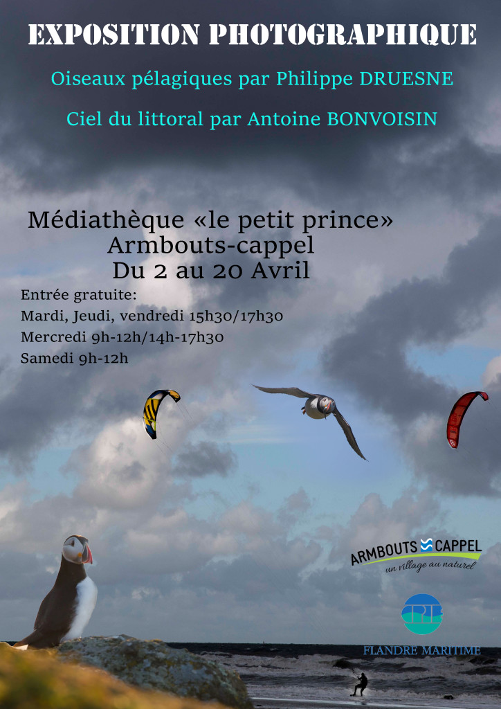 Affiche 2022 CPIE copie (1)