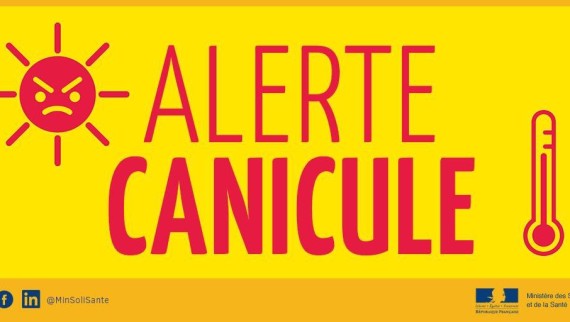ALERTECANICULE